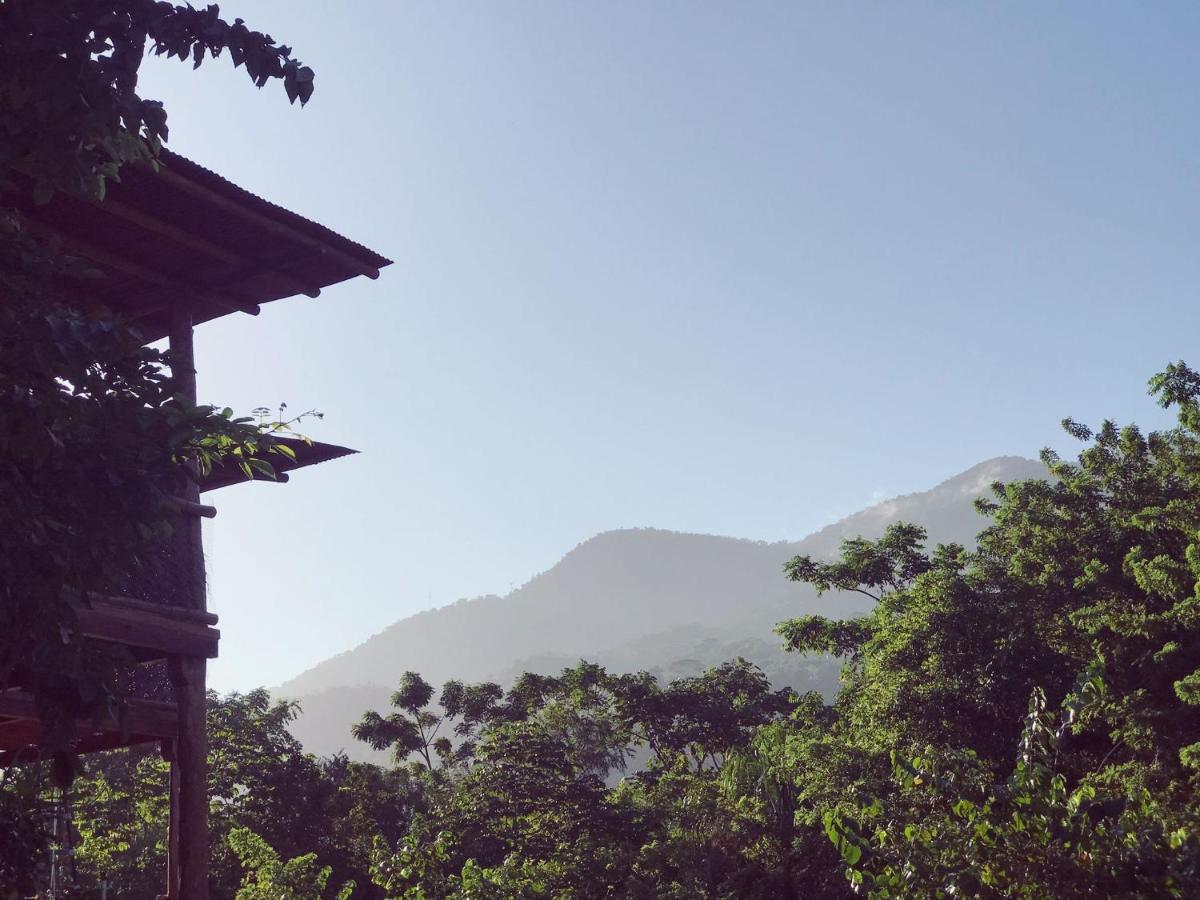 The Valley Tayrona Hostel- A Social Jungle Hostel เอลไซโน ภายนอก รูปภาพ