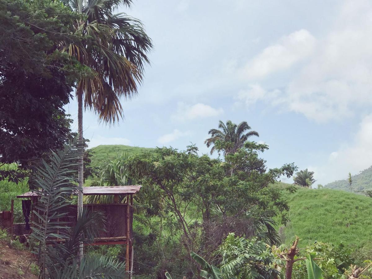 The Valley Tayrona Hostel- A Social Jungle Hostel เอลไซโน ภายนอก รูปภาพ