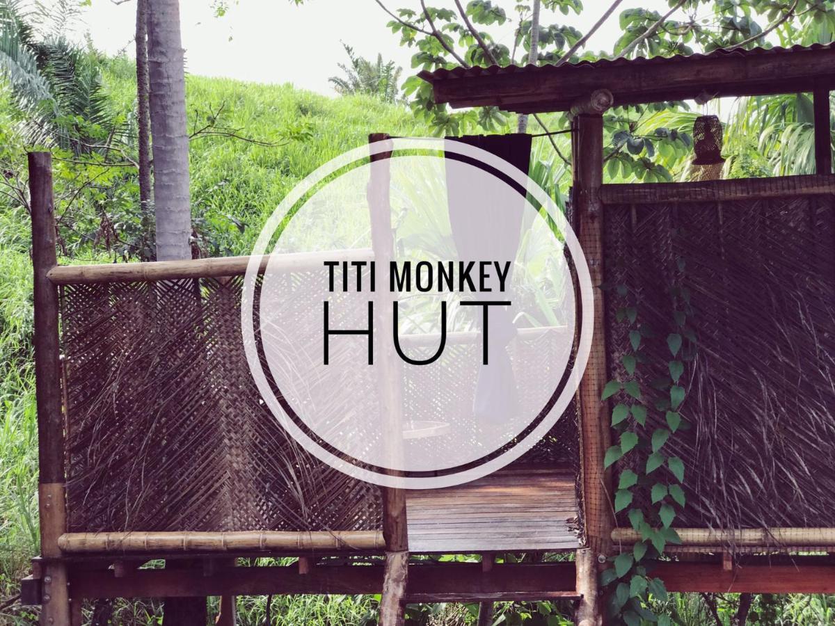 The Valley Tayrona Hostel- A Social Jungle Hostel เอลไซโน ภายนอก รูปภาพ