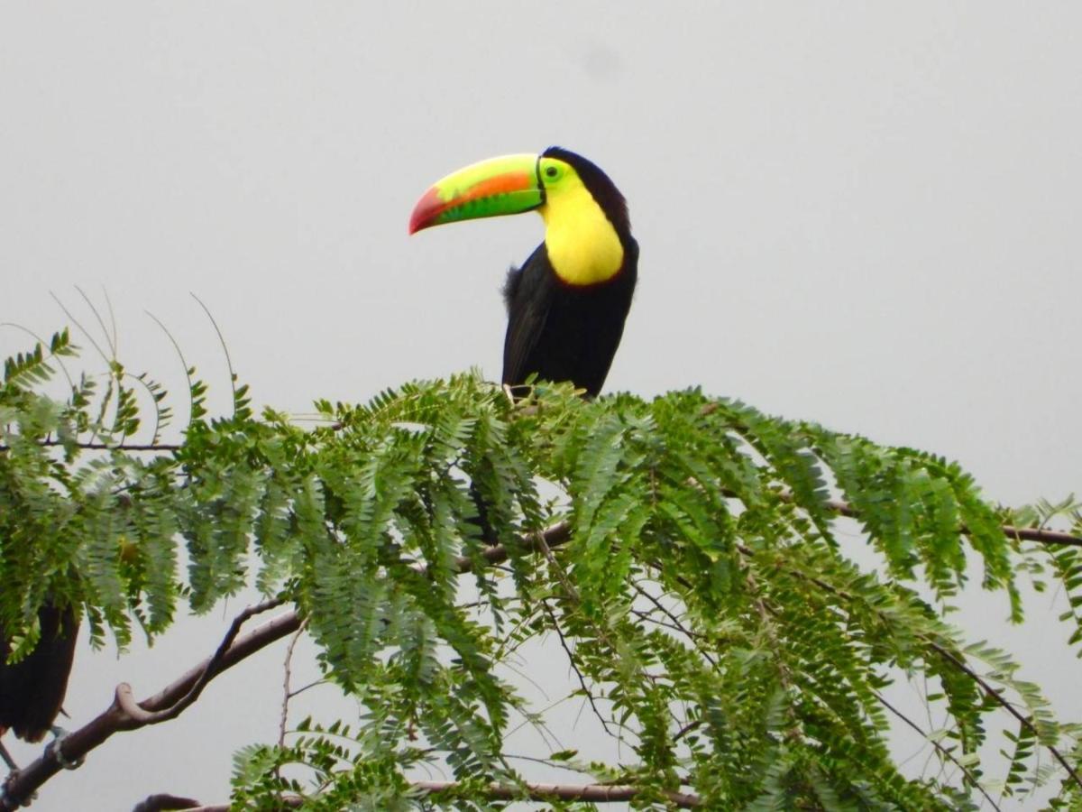 The Valley Tayrona Hostel- A Social Jungle Hostel เอลไซโน ภายนอก รูปภาพ