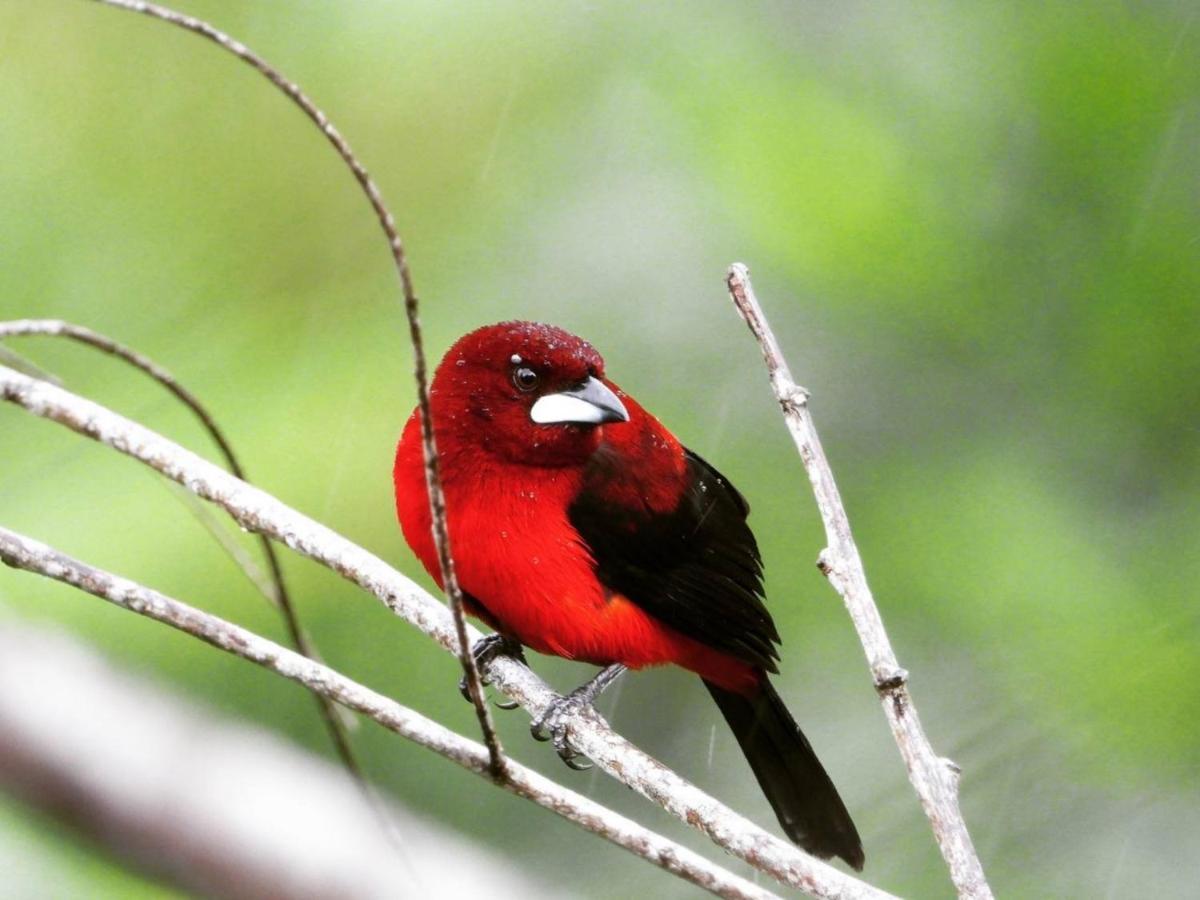 The Valley Tayrona Hostel- A Social Jungle Hostel เอลไซโน ภายนอก รูปภาพ
