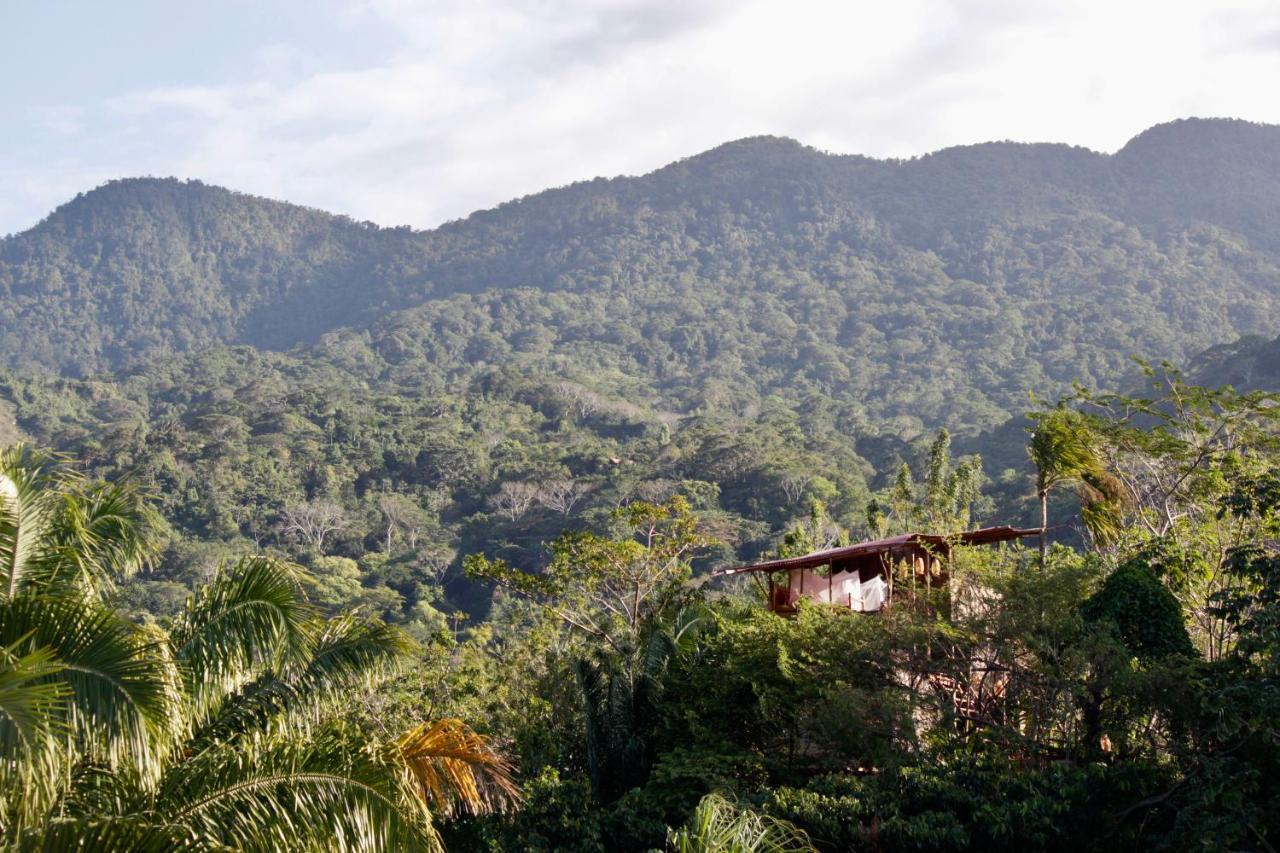 The Valley Tayrona Hostel- A Social Jungle Hostel เอลไซโน ภายนอก รูปภาพ