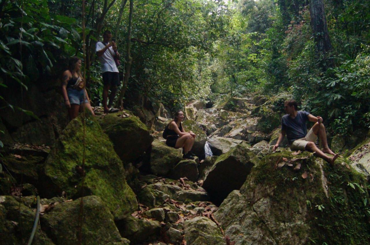 The Valley Tayrona Hostel- A Social Jungle Hostel เอลไซโน ภายนอก รูปภาพ