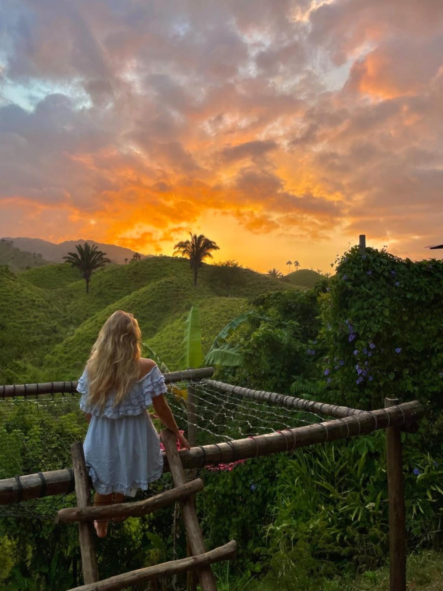 The Valley Tayrona Hostel- A Social Jungle Hostel เอลไซโน ภายนอก รูปภาพ