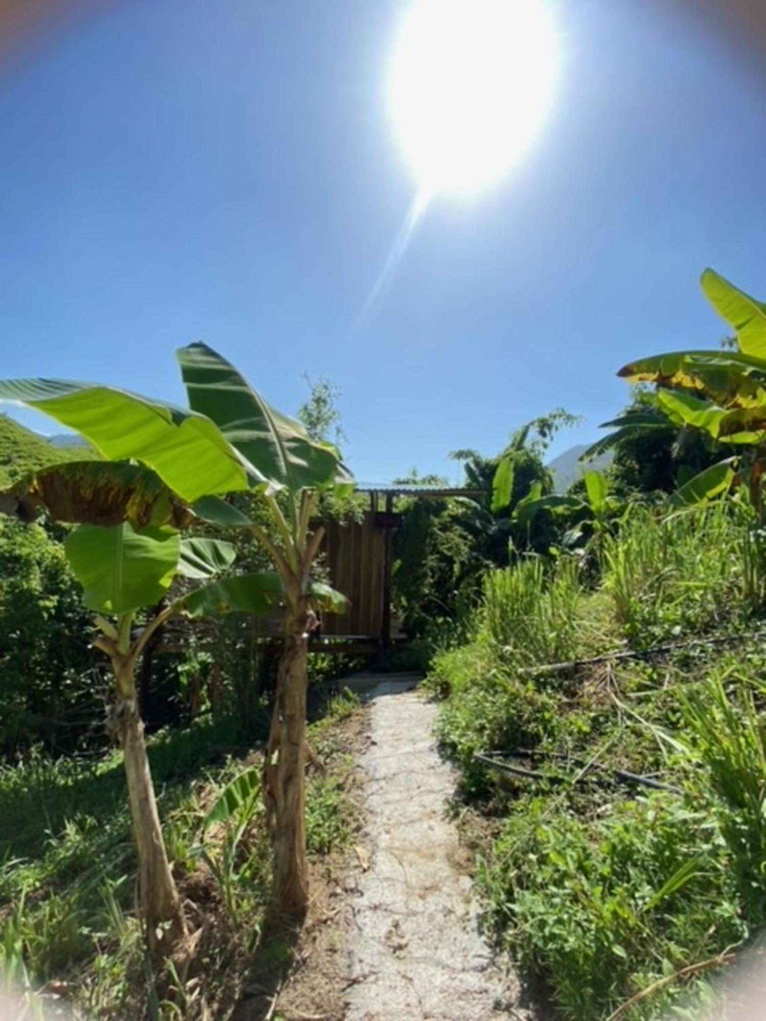 The Valley Tayrona Hostel- A Social Jungle Hostel เอลไซโน ภายนอก รูปภาพ