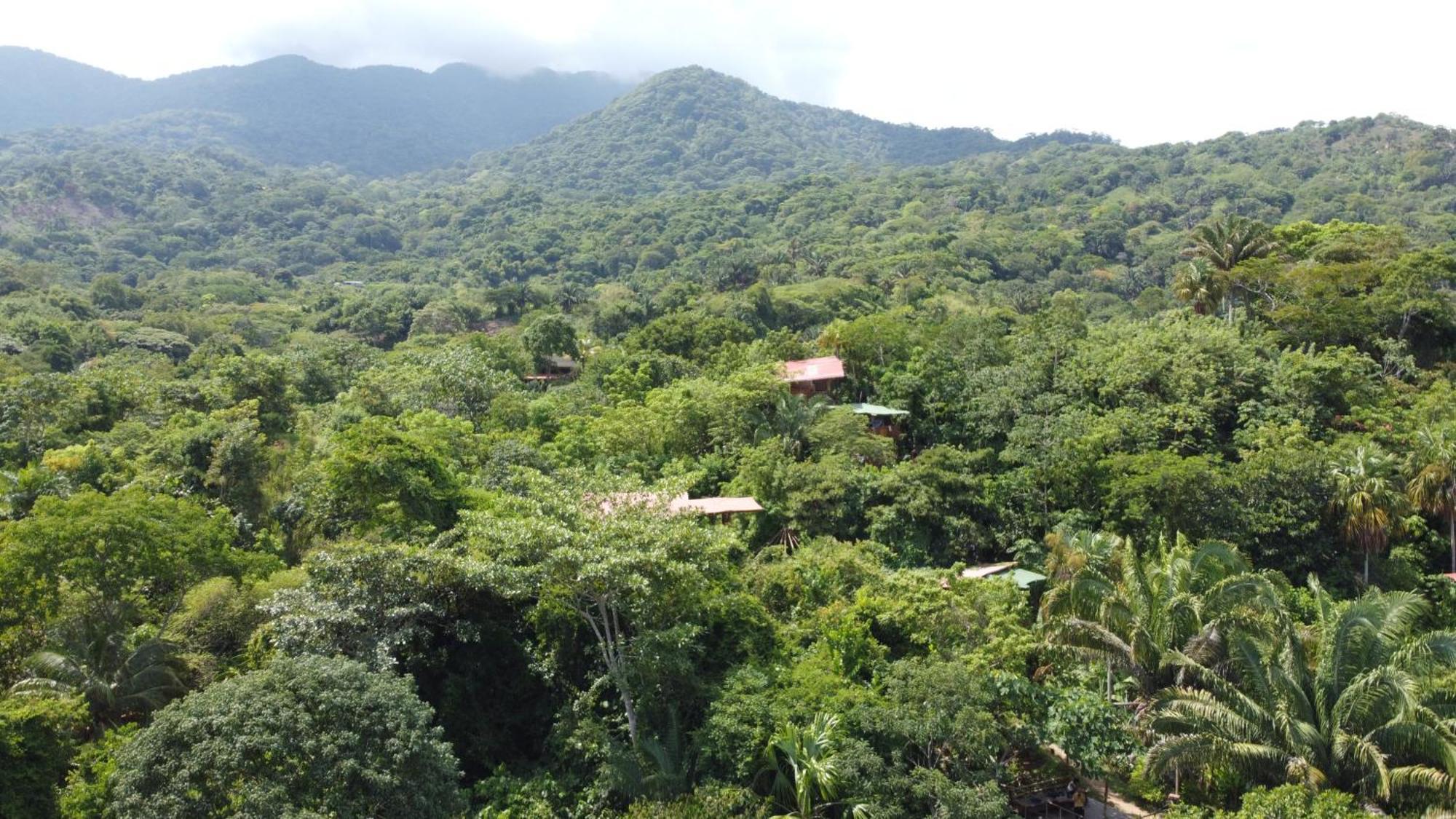 The Valley Tayrona Hostel- A Social Jungle Hostel เอลไซโน ภายนอก รูปภาพ