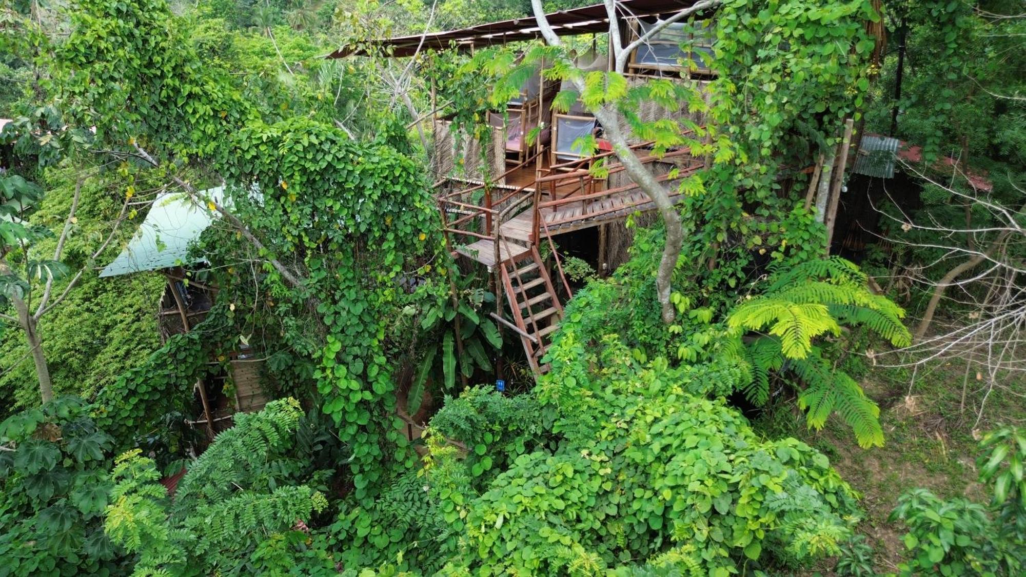 The Valley Tayrona Hostel- A Social Jungle Hostel เอลไซโน ภายนอก รูปภาพ