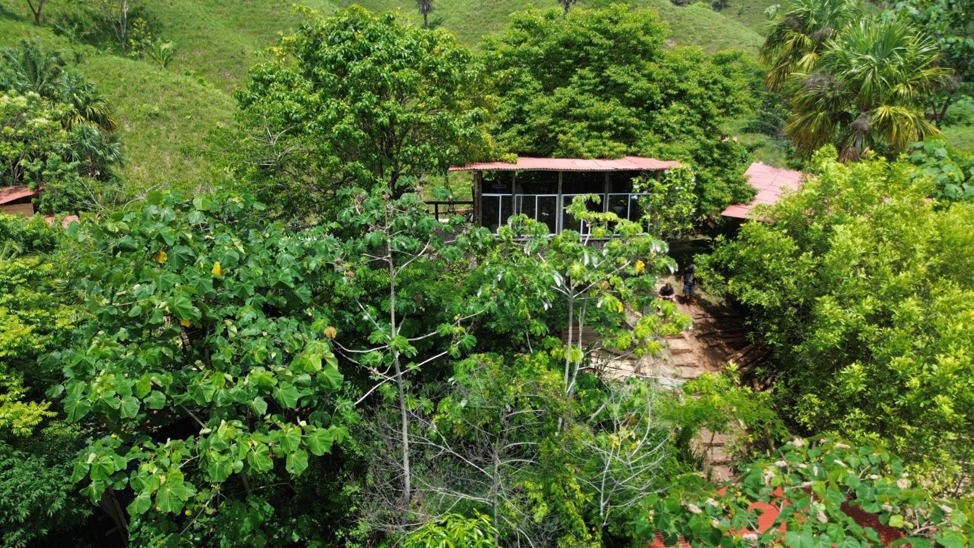 The Valley Tayrona Hostel- A Social Jungle Hostel เอลไซโน ภายนอก รูปภาพ