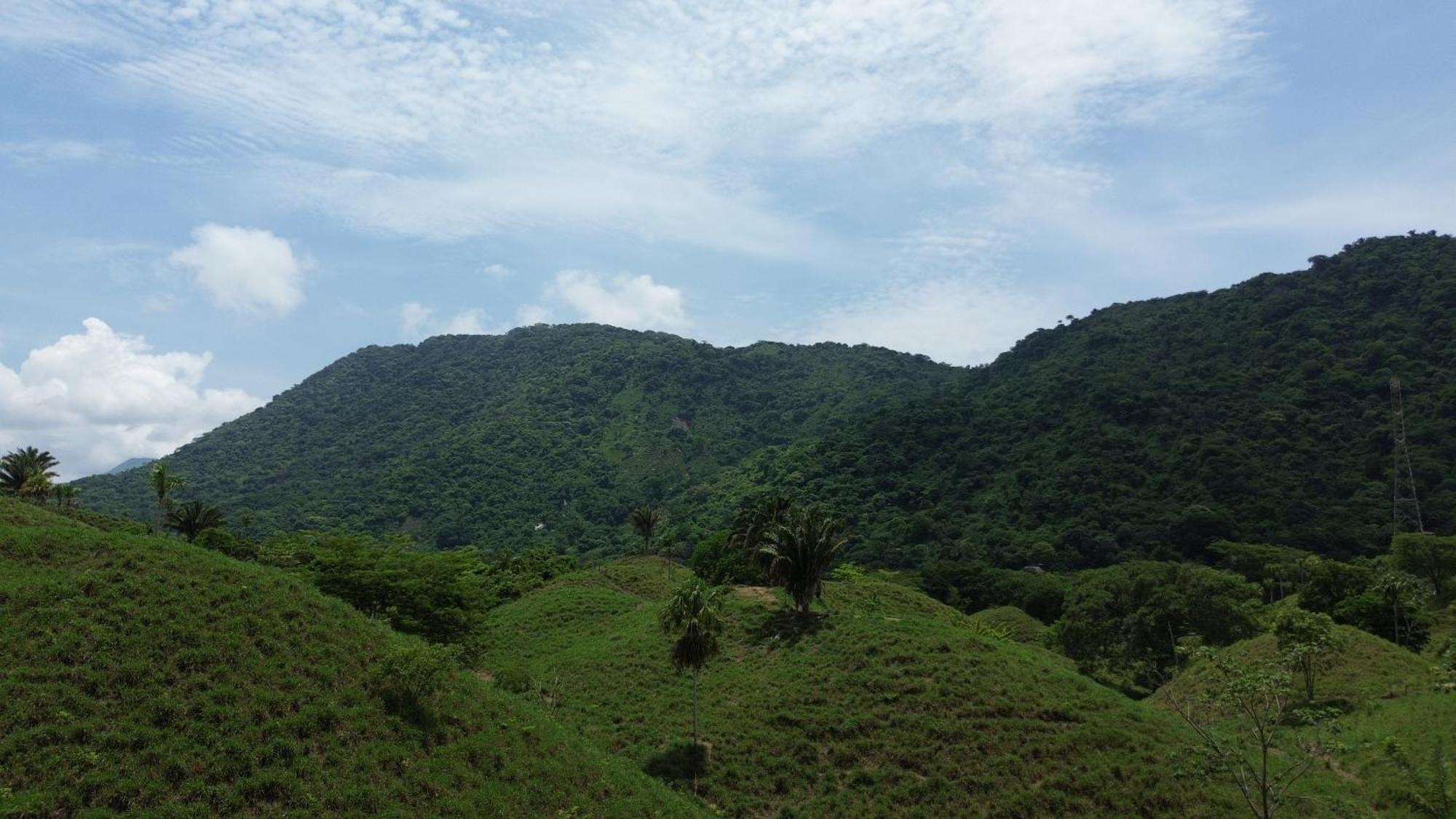 The Valley Tayrona Hostel- A Social Jungle Hostel เอลไซโน ภายนอก รูปภาพ