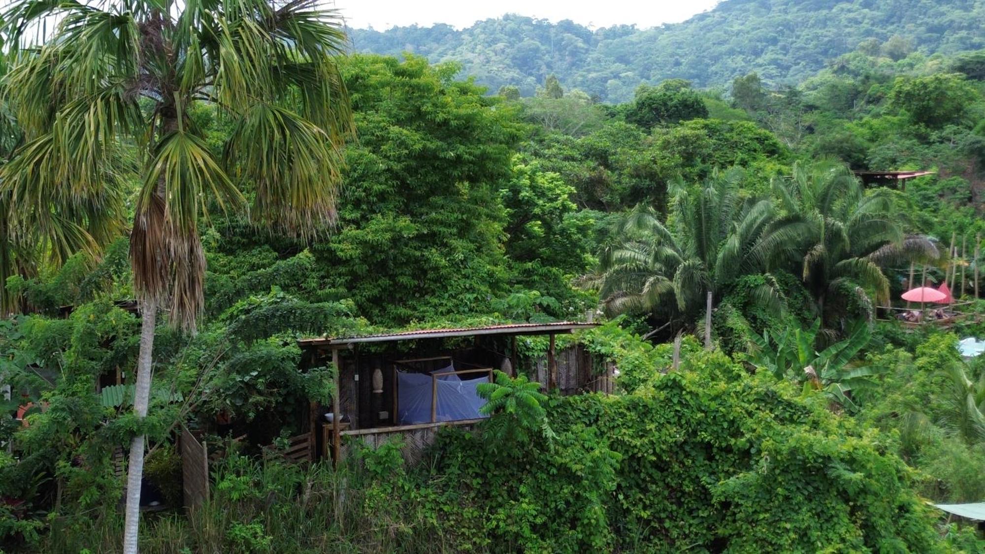 The Valley Tayrona Hostel- A Social Jungle Hostel เอลไซโน ภายนอก รูปภาพ