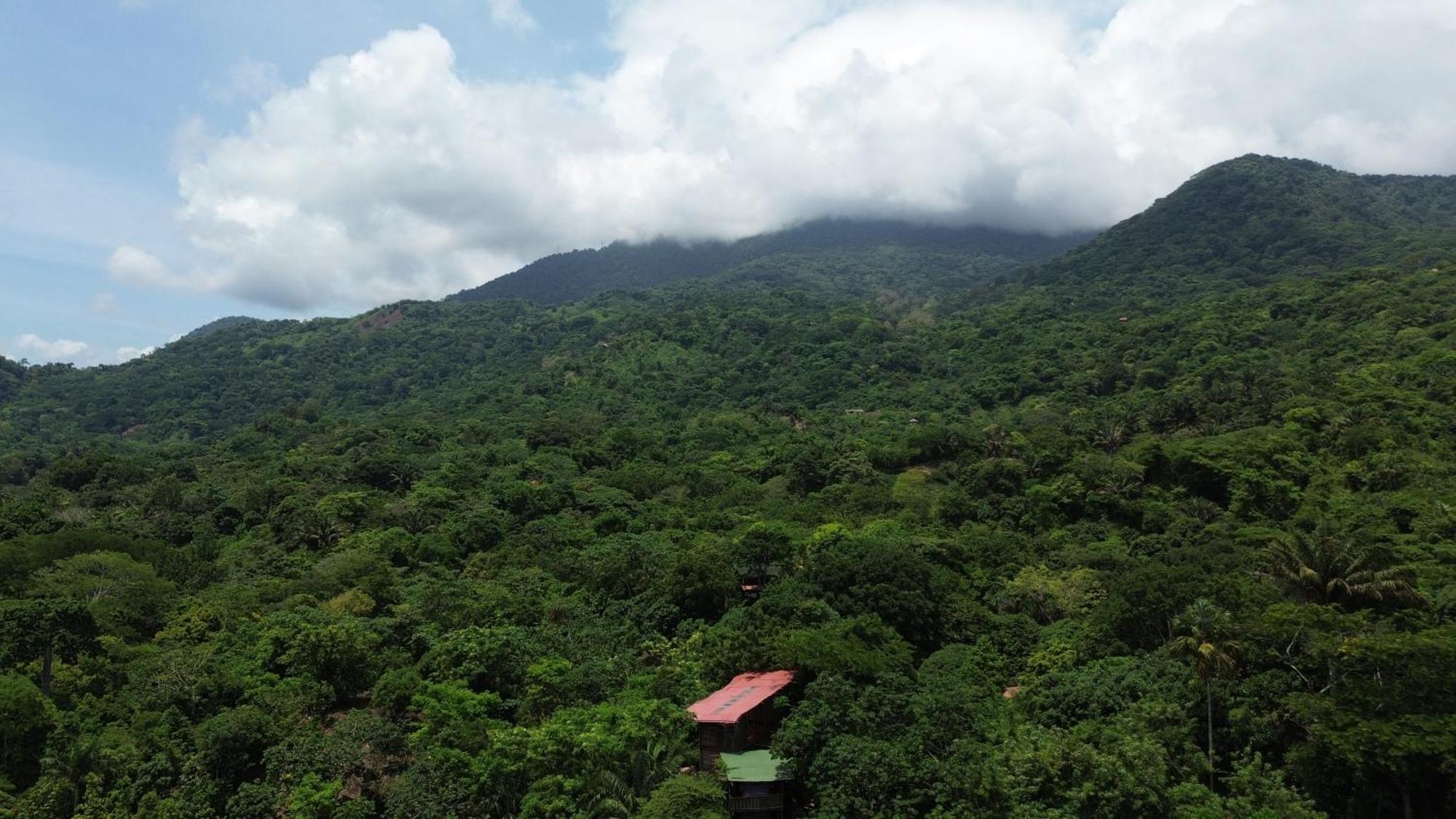 The Valley Tayrona Hostel- A Social Jungle Hostel เอลไซโน ภายนอก รูปภาพ