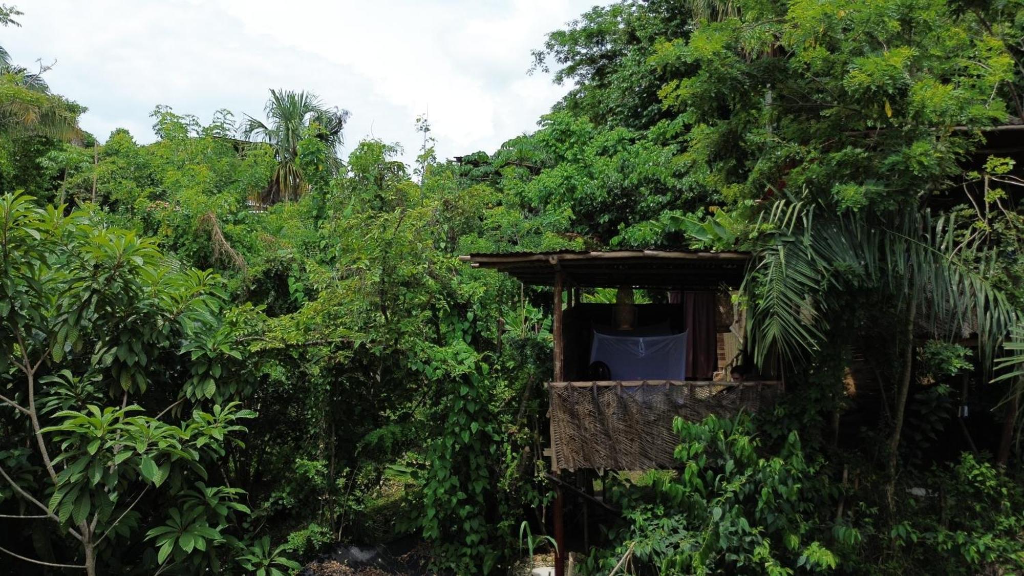 The Valley Tayrona Hostel- A Social Jungle Hostel เอลไซโน ภายนอก รูปภาพ