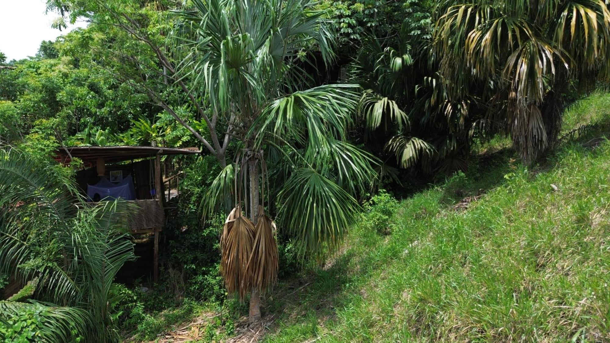 The Valley Tayrona Hostel- A Social Jungle Hostel เอลไซโน ภายนอก รูปภาพ