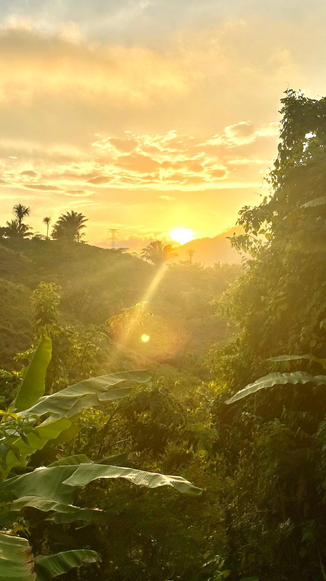 The Valley Tayrona Hostel- A Social Jungle Hostel เอลไซโน ภายนอก รูปภาพ