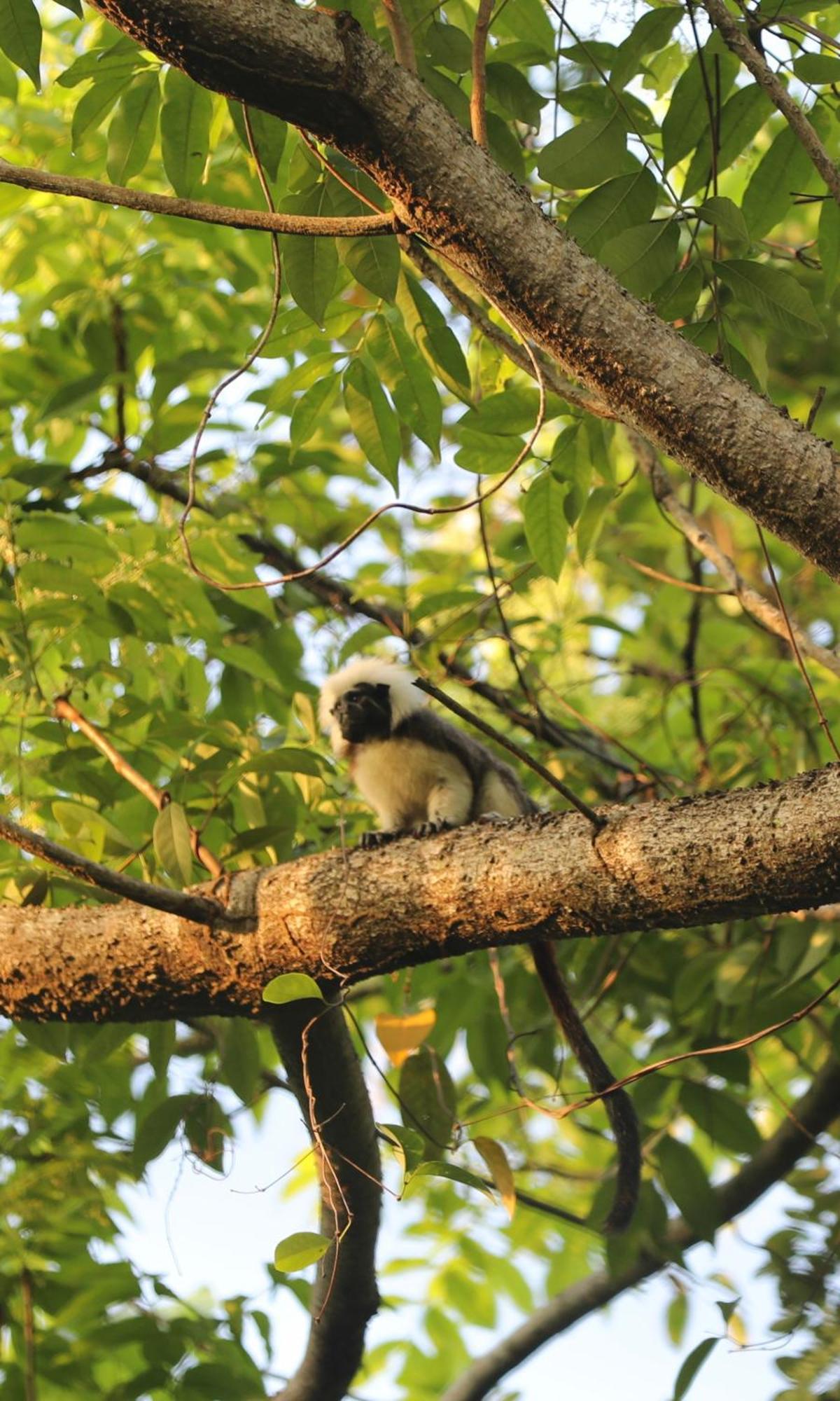 The Valley Tayrona Hostel- A Social Jungle Hostel เอลไซโน ภายนอก รูปภาพ
