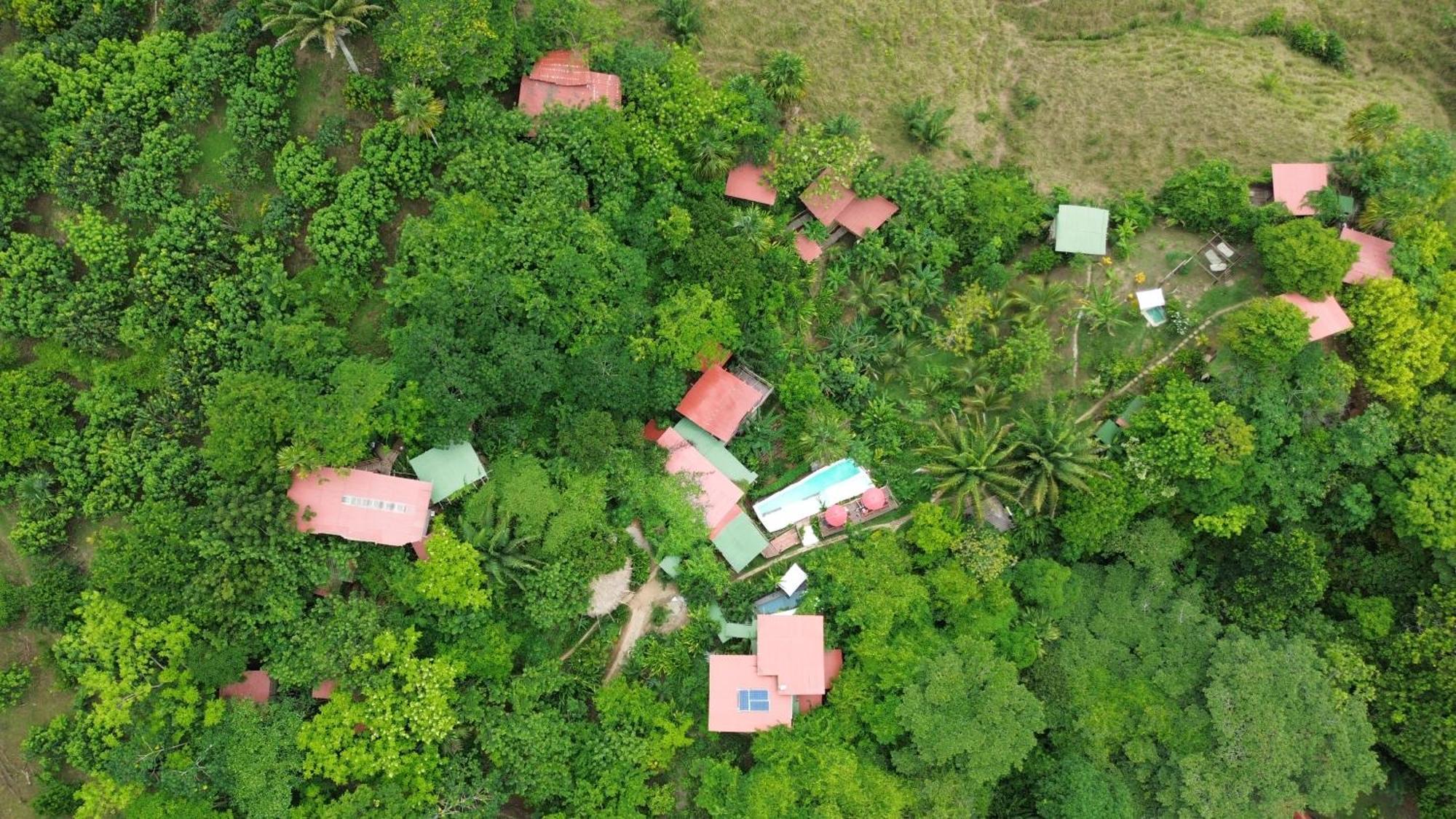 The Valley Tayrona Hostel- A Social Jungle Hostel เอลไซโน ภายนอก รูปภาพ