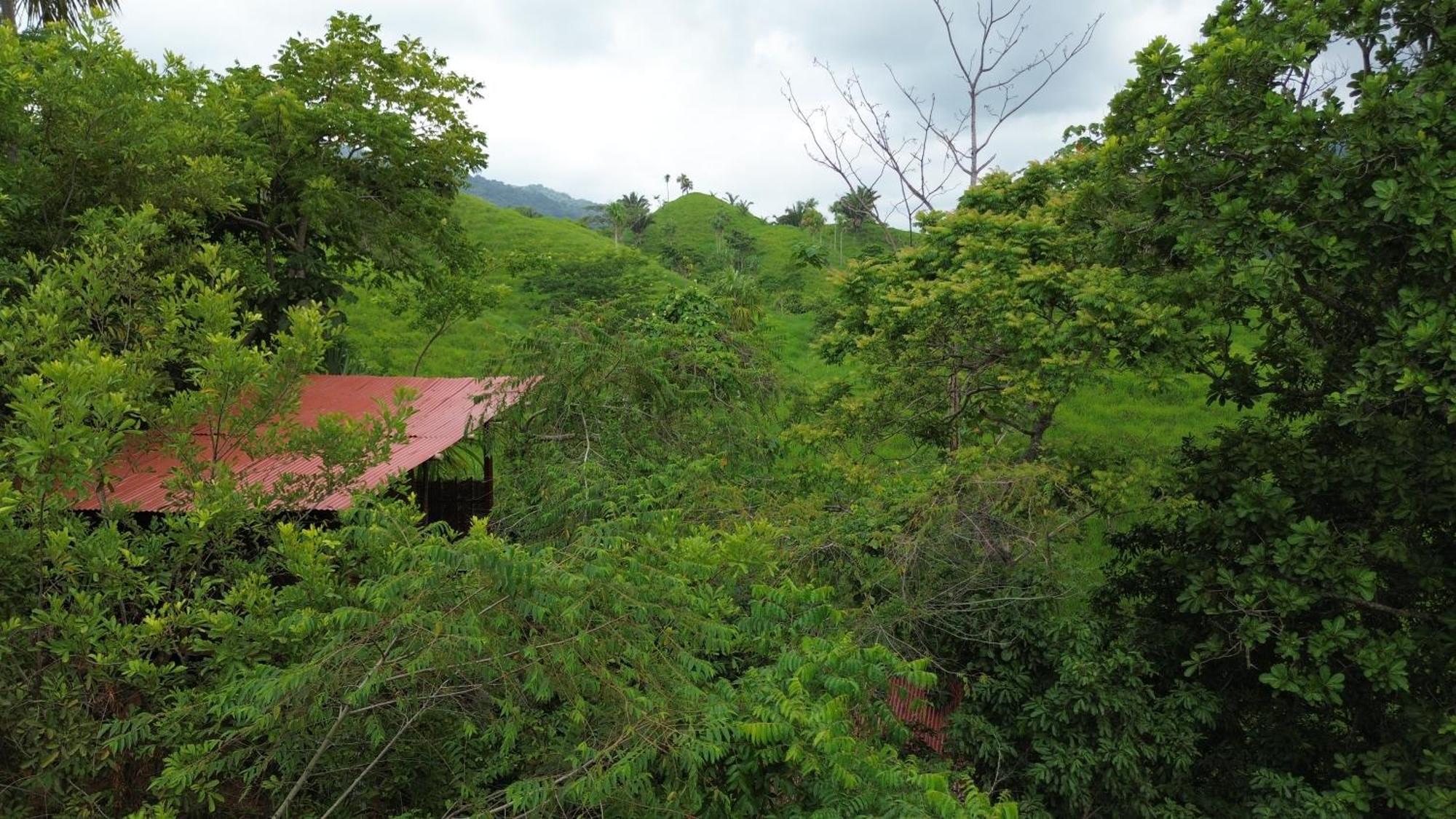The Valley Tayrona Hostel- A Social Jungle Hostel เอลไซโน ภายนอก รูปภาพ