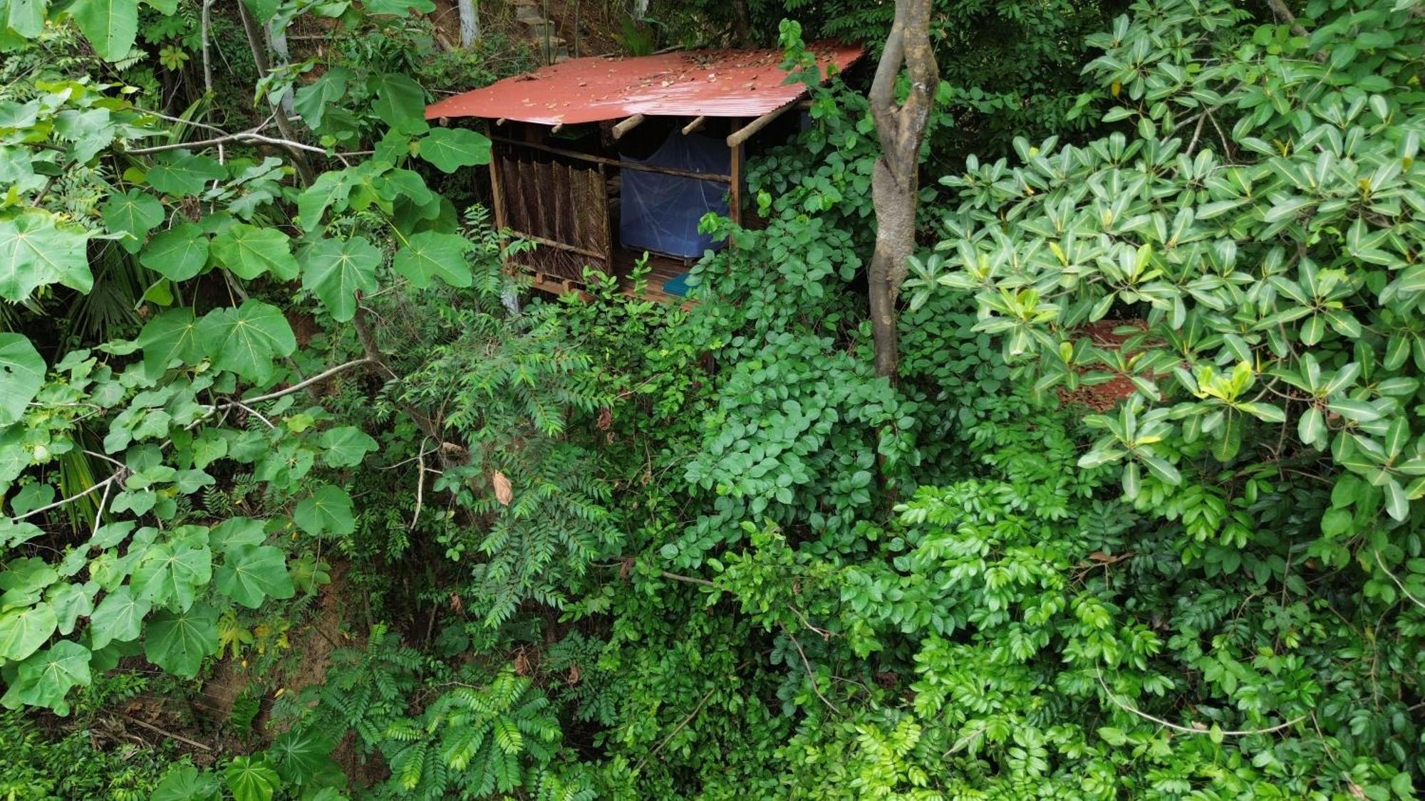 The Valley Tayrona Hostel- A Social Jungle Hostel เอลไซโน ภายนอก รูปภาพ