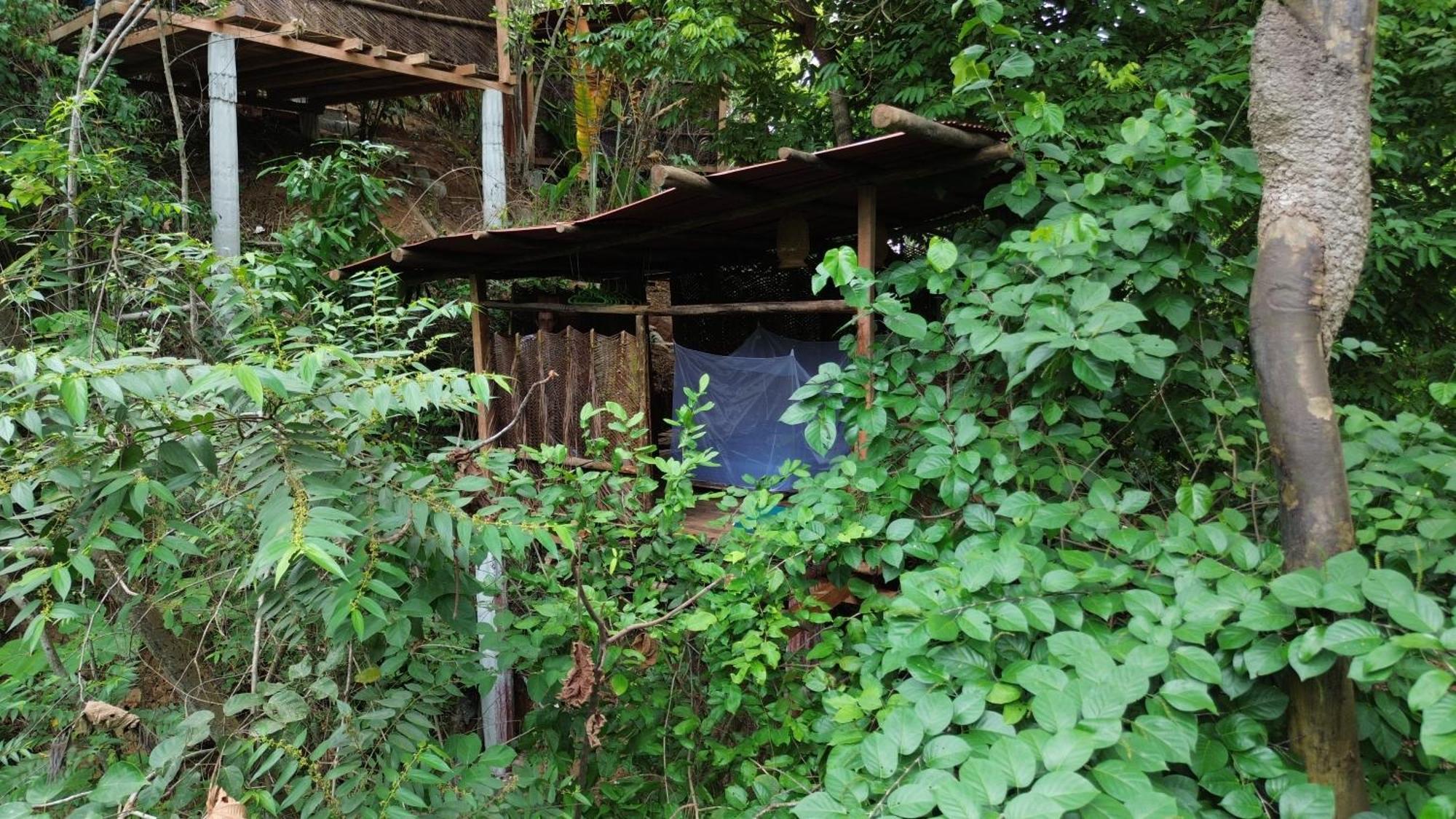 The Valley Tayrona Hostel- A Social Jungle Hostel เอลไซโน ภายนอก รูปภาพ