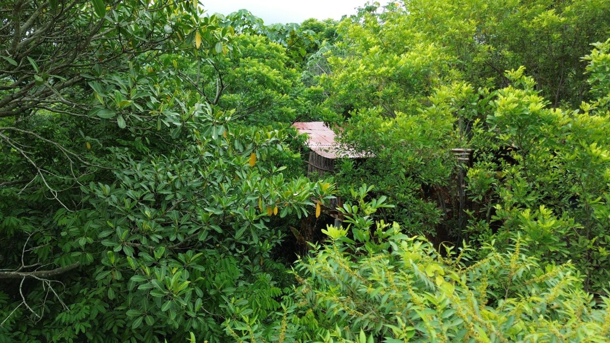 The Valley Tayrona Hostel- A Social Jungle Hostel เอลไซโน ภายนอก รูปภาพ
